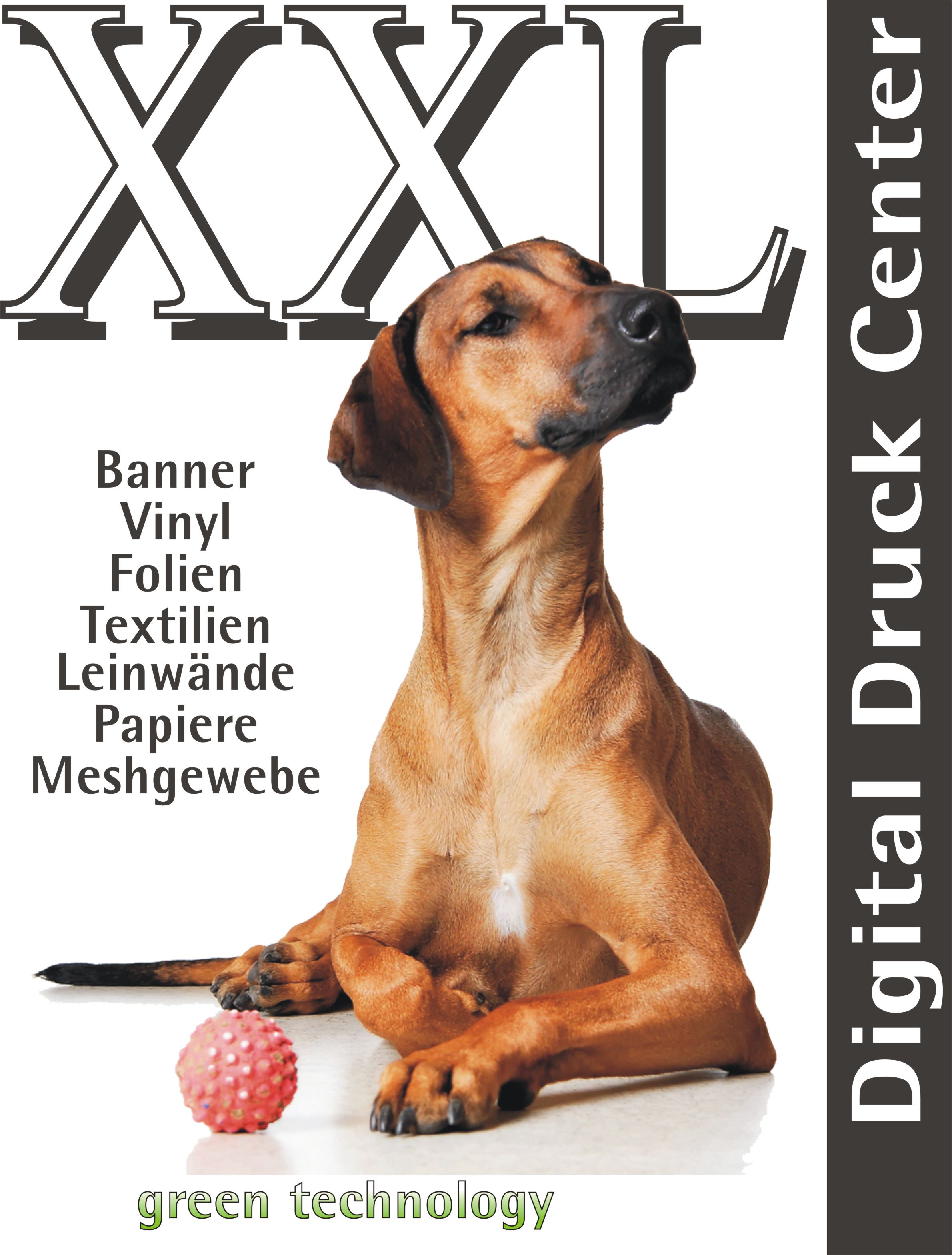 XXL Imani